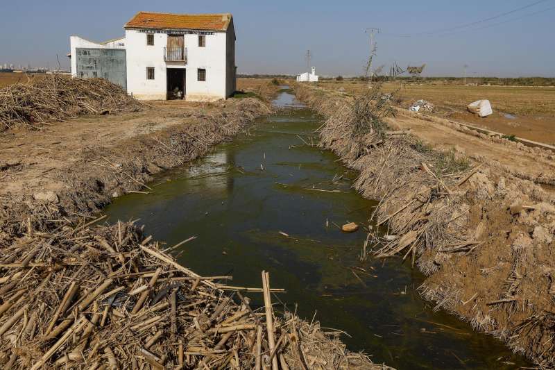 Campos de arroz destrozados por el barro de la dana en la Albufera de Valencia, en una imagen de archivo. EFE/José Manuel Vidal
 Campos de arroz destrozados por el barro de la dana en la Albufera de Valencia, en una imagen de archivo. EFE/José Manuel Vidal